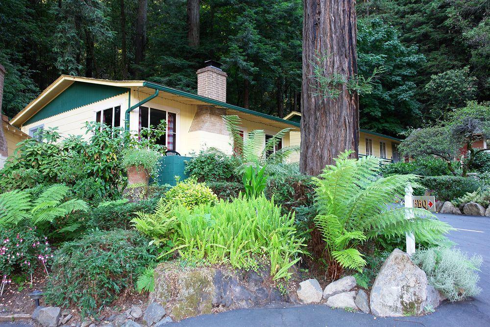 Fern Grove Cottages Guerneville Bagian luar foto
