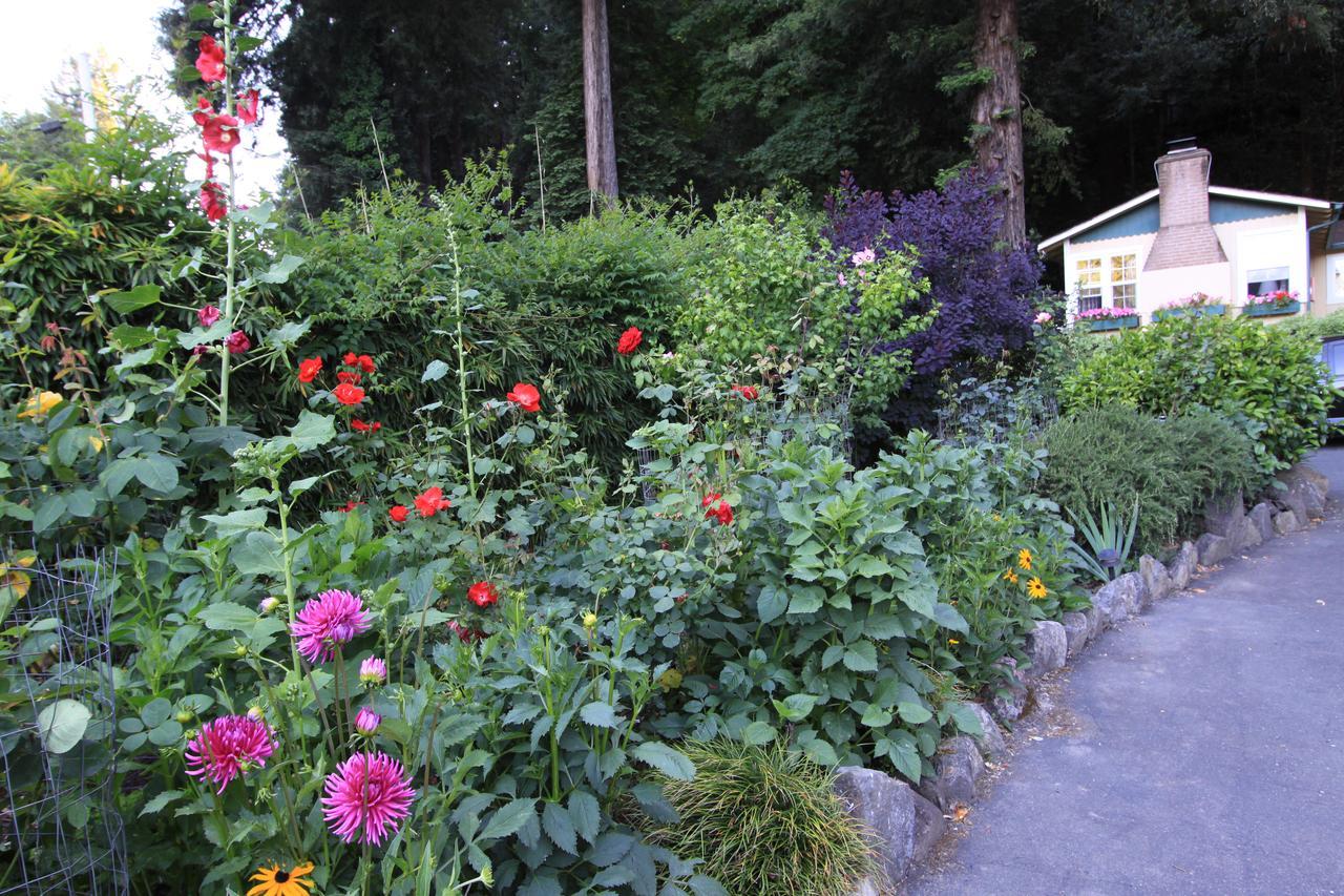 Fern Grove Cottages Guerneville Bagian luar foto